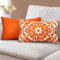 2er Set Kissenbezug Orange Kissenbezug 30x50 Kissenbezüge Geometrie Linie Mandala Muster Dekoration Kissenbezug Super Weiche Kissenbezüge Dekokissen Sofakissen Zierkissenbezüge für Wohnzimmer Sofa
