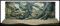 3D Aquarienrückwand 120x60 Root