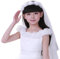 Voile de Mariage Fille Princesse Couronne de Fleurs Guirlande avec Voile en Tulle Élégante Bandeau de Cheveux Serre-tête Coiffure Décoration Convenable au Noël Halloween Cérémonie Partie Danse