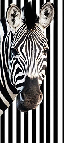 Bilderdepot24 Türtapete Zebra vor einem gestreiften Hintergrund 90 x 200 cm - einteilig Türaufkleber Türfolie Türposter – Tier Tierbild Afrika schwarz weiß