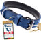 Schnüffelfreunde Halsband für Hunde aus Leder, Hundehalsband für den großen, mittleren und kleinen Hund, Lederhalsband gepolstert, robust (M - 28-36cm, Blau)