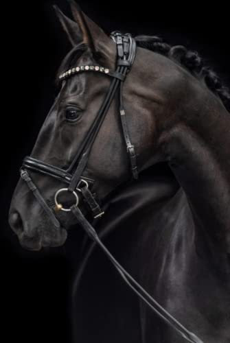 Notebook with a beautiful BLACK HORSE , Softback, 145 Pages, Hardcover