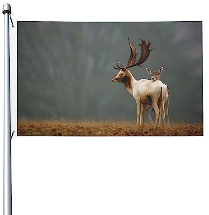 Flagge Hirsch mit Geweih, 90 x 152 cm, lustige Outdoor-Banner, Urlaub, Gartenflagge, Willkommensbanner für Zuhause, Garten, Hof, Rasen, Dekoration, Flaggen, Indoor/Outdoor, doppelseitiger Druck