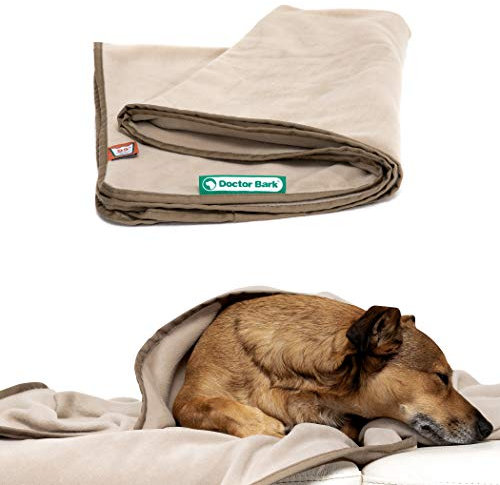 Doctor Bark | kuschelige Hundedecke waschbar bis 95°C, hygienische, weiche Fleecedecke für Sofa und Hundebett, Flauschige Haustierdecke - Made in Germany (M - 100x70 cm/Beige)