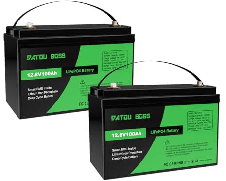 DATOUBOSS 2*Batterie Lithium 12V100Ah LiFePO4 BMS intégré100A 8000-15000Cycles Cycle Profond Batterie Lithium Max 1280W Puissance supportée en série/parallèle,Parfait pour Solaire,Camping-Car,Off-Grid