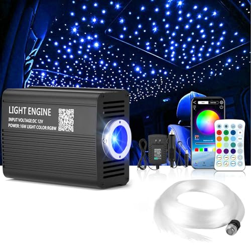 Twinkle LED Fiber Optic Starlight für Auto, App/RF Fernbedienung LED Fiber Optic Star Deckenleuchten Kit mit 300pcs, 3m.0.75mm mit Musik Modus
