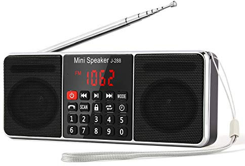 PRUNUS J-288 Radio Portatile Ricaricabile AM/FM,Radio Bluetooth con L'altoparlante Stereo, Radiolina Digitale con Serratura a Chiave e Funzione Sleeping Clock, MP3 Player, Supporto SD/USB/AUX