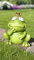 SHACAMO Tierfiguren Trendy Verschiedene Designs aus Terrakotta (Froschkönig)