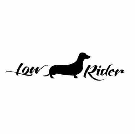GAETOYEN Autoaufkleber Hund Personalisiert 12 cm X 2,8 cm Vinyl-Aufkleber Lowrider Wiener Hund, Lustiger Auto-Aufkleber, Schwarz/Silber Css1A16282