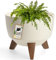 KADAX Elevated Plant Pot, Large Plastic Planter with Legs for Indoor and Outdoor Use, Durable Round Planter for Houseplants (⌀ 24 cm, Cream)