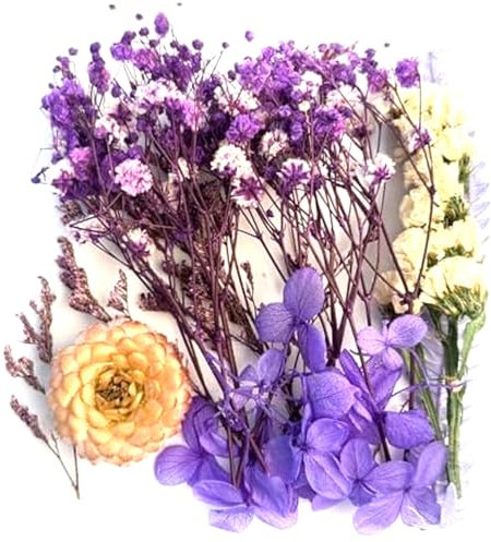 QZKJQDD Getrocknete Blumen, Trockenblumen Zum Basteln, Getrocknete Blumen, Trockenblumen Klein, Für DIY Handwerk Dekoration Epoxidharz Handwerk Scrapbooking Kartenherstellung (lila Anzug)
