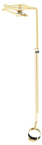 GLSTOY Porte-lyre Portable pour Flûte Traversière en Fer, Accessoire Musical Clip de Sécurité Doré, Support de Partition Léger et Solide, pour Musiciens en Déplacement