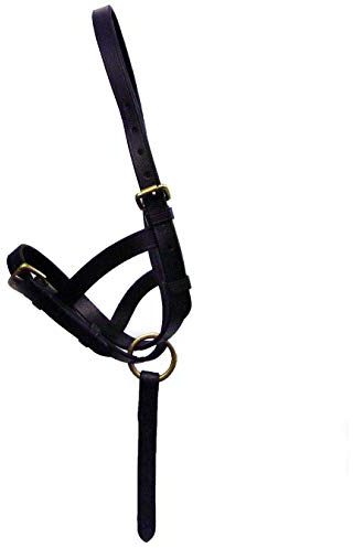 Hy Leather Foal Slip(Brown, Medium)