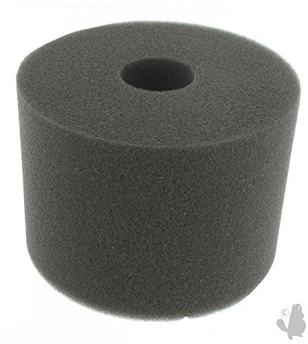 GREENSTAR 5517 Filter für Motoren Brigg/Stratton Serien 190400/300400/320400