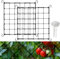 HIULLEN 2 Stück Scrog Netz 60 x 60cm, Grow Netz Pflanzennetz, Wachsen Zelt Netz, Elastische Spalier Netz mit 100 Verband und 8 Haken für kletterpflanzen für Pflanzen, Gemüse,Obst