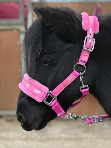 Equipride Halfter mit Pferdemotiv, Nylon, gefüttert, mit passendem Leinenseil, Pink (kleines Pony (Shettland))