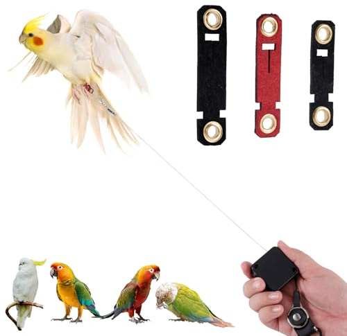 Einziehbar Vogel Leine, 2m Vogel Geschirr mit 3 Fußringen Sittich Fluggeschirr Papageien Leine Outdoor Flugtrainingsset für Nymphensittiche Wellensittiche Sittiche (Schwarz)