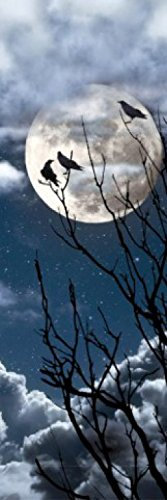 1art1 Gothic Die DREI Raben Bei Vollmond, 1-Teilig Fototapete Poster-Tapete 250x79 cm