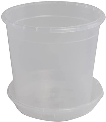 Vaso per orchidee trasparente con sottovaso abbinato, disponibile in diverse misure, colore: trasparente, diametro: 15 cm