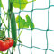 Premium Ranknetz mit großer Maschenweite für den perfekten Wachstum von Tomaten, Gurken und Kletterpflanzen Das Optimale Rankhilfe Netz für Garten und Gewächshaus - Maschnweite (10cm), Größe: 5 x 2m
