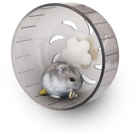 Hamster Rad, 13cm/5,11 Zoll Kleintier Übungsrad Leises Laufrad für Gerbil Zwerghamster Ratte Mäuse, Hamster Laufrad Spielzeug rutschfeste Transparent Laufscheibe für Eichhörnchen Chinchillas Haustier