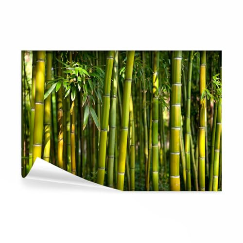 decomonkey - Papier Peint Panoramique Adhésif Bambou Nature 294x210 cm - Stickers Muraux Chambre Déco XXL Autocollant - Vert gris jaune - Asie bambous feng shui feuilles orienter plantes fond zen