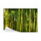 decomonkey - Papier Peint Panoramique Adhésif Bambou Nature 294x210 cm - Stickers Muraux Chambre Déco XXL Autocollant - Vert gris jaune - Asie bambous feng shui feuilles orienter plantes fond zen