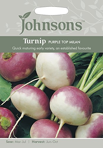 Johnsons 10866 Vegetable Seeds, Turnip Purple Top Milan