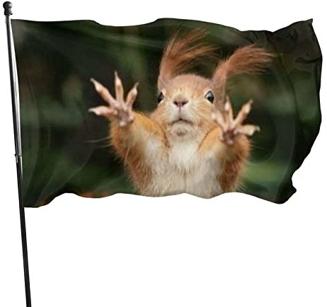 Dekoration Flagge Eichhörnchen lustiges Tier Fahnen Flagge mit öse Dekoration für Fahnenmast Yard Home Hof Dekorative Banner Party Feier 90x150 cm