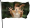 Dekoration Flagge Eichhörnchen lustiges Tier Fahnen Flagge mit öse Dekoration für Fahnenmast Yard Home Hof Dekorative Banner Party Feier 90x150 cm