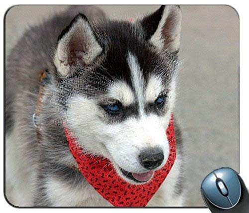 Gaming Mouse Mat, Husky Puppy Dog Gesicht Taschentuch 109230 personalisierte Rechteck Mauspad, gedruckt rutschfeste Gummi komfortable angepasst Computer Mauspad