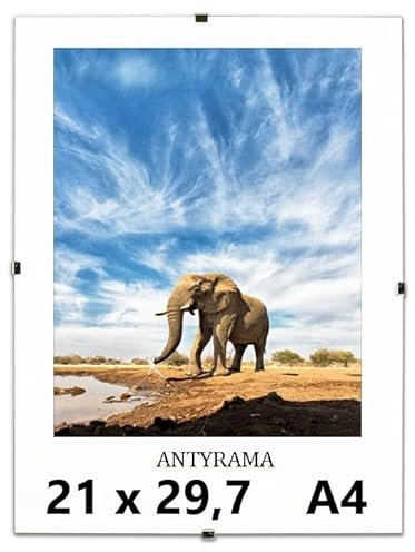 Cliprahmen Bilderrahmen Plakatrahmen im Paket Rahmenlos - Farblos Plexiglas Wechselrahmen für Fotos Poster viele Größen Rechteckig mit Clips gut für Wohnzimmer, Esszimmer, Küche (A4 21x29.7cm)