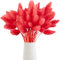 Sunshine Smile 60Pcs Pampasgras, Trockenblumen Bodenvase, Natürlich Blumenstrauß, Deko, Künstlich Groß