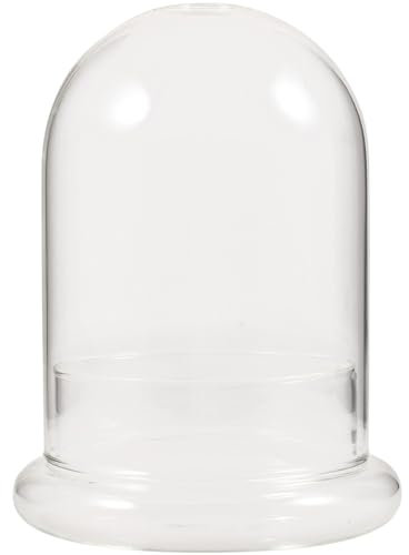 HOLIDYOYO Glasflasche Landschaften Terrarium Blumentopf Mit Klarglas-Design Dekorative Pflanzvase Für Pflanzen Leicht Und Bruchsicher Für Zuhause Und Büro Kreative Tischdekoration
