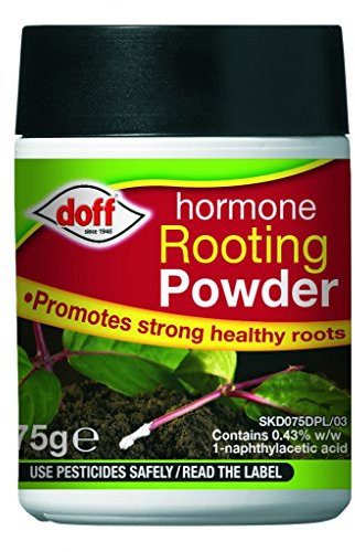 Doff Rooting Powder 75g - For Higher Success in Plant Propagation