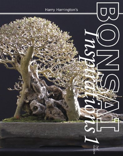 Harry Harrington's Bonsai Inspirations 1 (English Edition)
