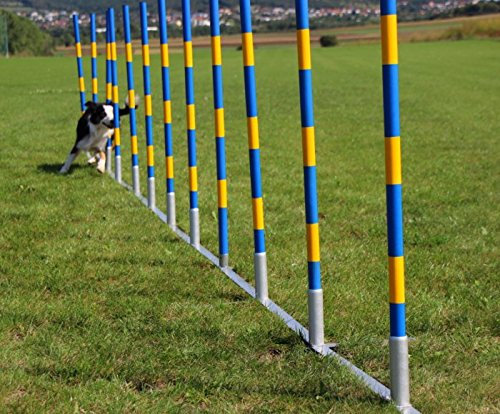 Callieway Orig Agility Slalom, TRICHTERSLALOM®, Gassenslalom, Agility Channel Weaves (FCI konform)