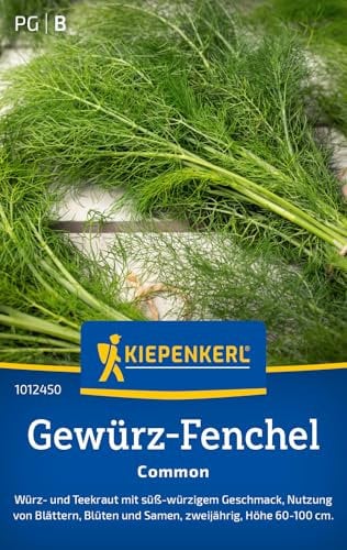 Kiepenkerl Gewürz-Fenchelsamen Common 1012450 – Würz- und Teekraut - Zweijährig - Höhe 60-100 cm - Inhalt für 100 Pflanzen - Kräutersamen, Samen Kräuter