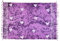SAIVONA Pareo Sarong Strandtuch Damen - Wickelrock Strand - Handtuch Blickdicht als Wickeltuch oder Handtuchkleid und Wickelkleid Damen - Handarbeit aus Fair Trade Herstellung Batik Herz Love Lila