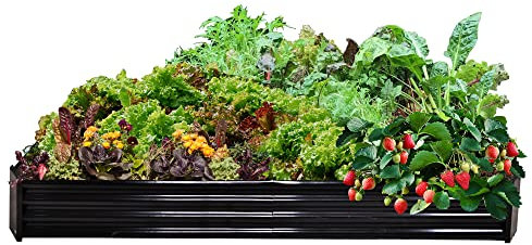 VERFARM Hochbeet-Set aus Verzinkter Metall, Pflanzbeet Hochbeete für Garten, 232x113x30 cm, Hochbeete-kit für Gemüse Blumen Sukkulenten Kräuter, Blumenbeet & Pflanzentrog, Rechteckig, Schwarz