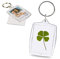 Porte-clés Trefle à 4 Feuilles Véritable - Porte-Bonheur et Cadeau symbolique pour apporter Chance et Protection