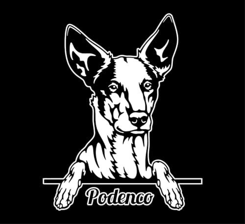 Autoaufkleber/Sticker/für Innen und Außen 28 cm weiß Windhund Podenco 01