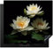 KitchenYeah© Herdabdeckplatte Einteilig Induktionsmatte Küche Abdeckung Ceranfeld Herd Abdeckplatte Deko Vinyl Matte Aufrollbar Lotus - Blumen - Weiß - Natur - Schwarz - Design - 59x52 cm