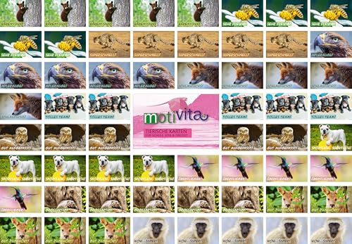 motivita Tierische Lobkarten - Motivationskarten zur Wertschätzung - 12 Motive / 60 Lobkärtchen
