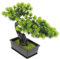 Yardwe Dekorativer Gefälschter Bonsai-Baum Simulierte Kiefernpflanze Für Regal Realistisches -Ornament