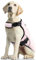 Kühlweste für Hunde, Hundekühlungsmantel Sommer Sicherheitsweste Atmungsaktive & Reflektierende für Klein Mittlere Große Hunde Kühljacke Aktivitäten Draußen Wandern Training(Rosa, 2XL)