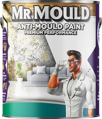 Mr Mould Anti Damp Paint | Damp Seal Prevent Build-up of Mildew | Damp Proof Paint for Wall and Ceiling | Anti Condensation (Light Grey, 5 Liter)