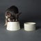 Scruffs Icon 2 Piece Flat Faced Dog Bowl & Water Bowl - 15cm | 18cm - Cream