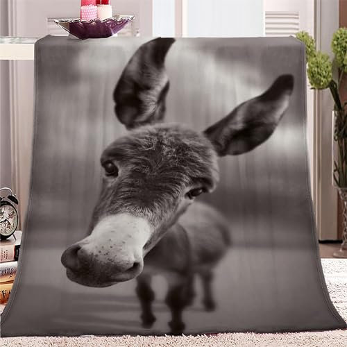 Kuscheldecke 130 x 150cm Tier Kleiner Esel 3D Druck Fleecedecke Flanelldecke Weich Wohndecke Sofadecke Zweiseitige Decke Für Kinder Jungen Erwachsene