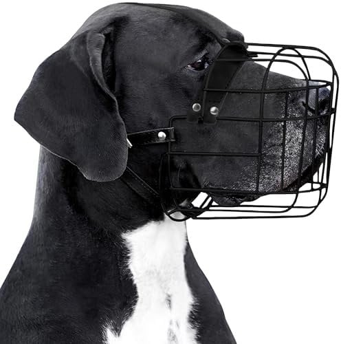 BRONZEDOG Hundemaulkorb Verstellbar Robustes PVC/Metalldrahtkorb für Große und Sehr Große Hunde mit Lederbändern Atmungsaktiv, Trinkfähig, Training, Verhindert Beißen (Great Dane, PVC)